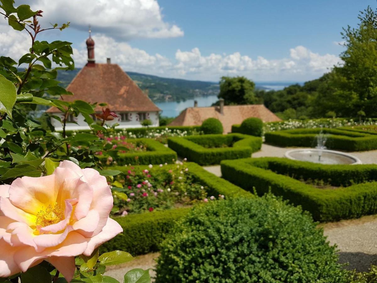Schloss Freudenfels Eschenz Exterior foto
